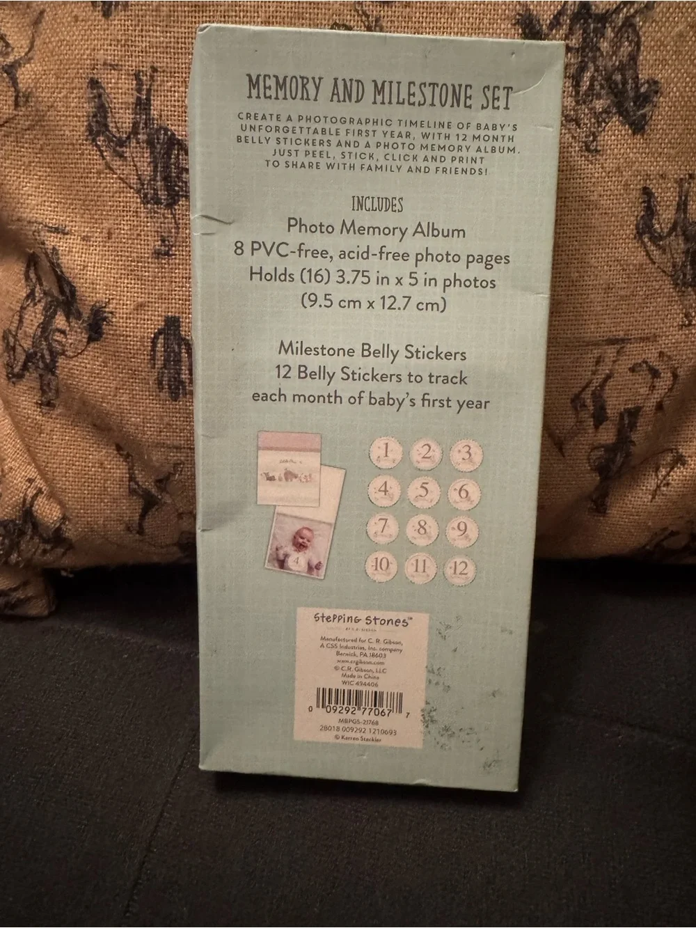 Stepping Stones Little One Memory & Milestone Set Album, 12 Month Stickers